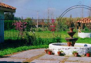 FOTO 3 PROYECTO 2